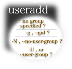 How to assign a group , using useradd , featured image 243 by 231