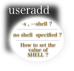 assign a shell using useradd tutorial
