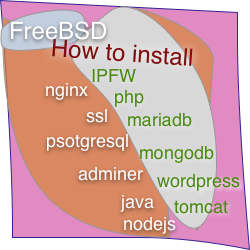 install nginx ipfw php ssl mariadb postgresql mongodb adminer wordpress java tomcat nodejs on freebsd